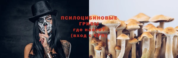 a pvp Белокуриха